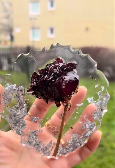 Preserved Flower Resin Coaster Set | Luxury Handmade Floral Art Décor